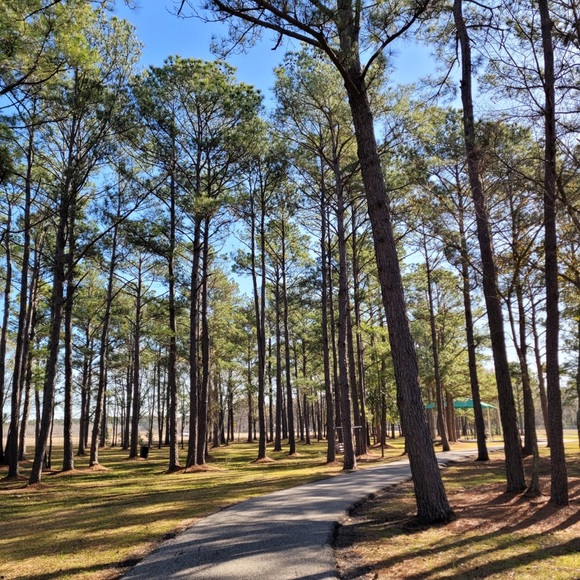 Meet your Posher, Sabrina - Picture 1 of 1